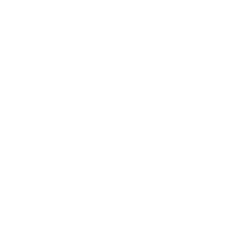 Dietic App Logo